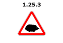1.25.3 yo'l belgisi